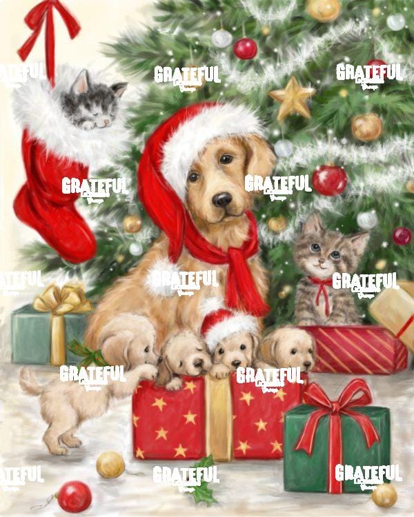 Christmas Dog & Cat