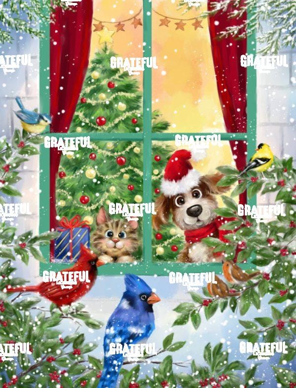 Dog and Cat at Christmas Window