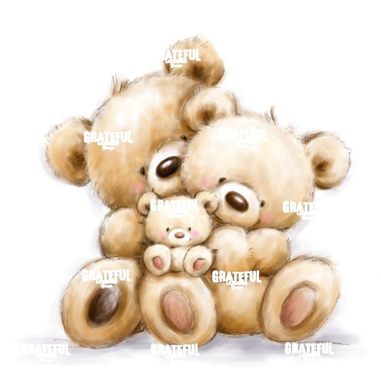 Teddy Family