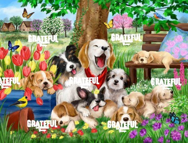 Sleepy Dogs in Garden