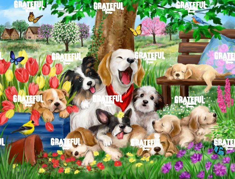 Sleepy Dogs in Garden