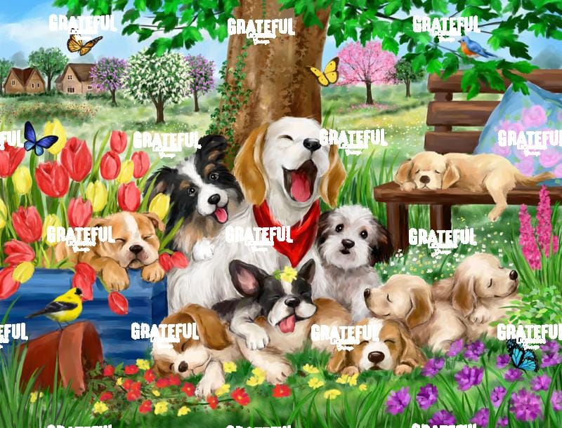 Sleepy Dogs in Garden