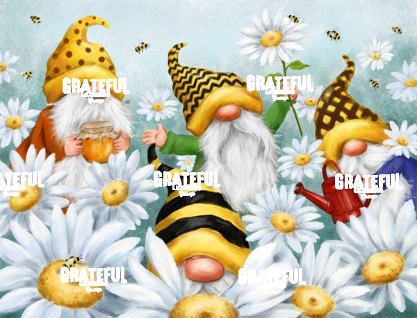 Gnomes in Daisy Field