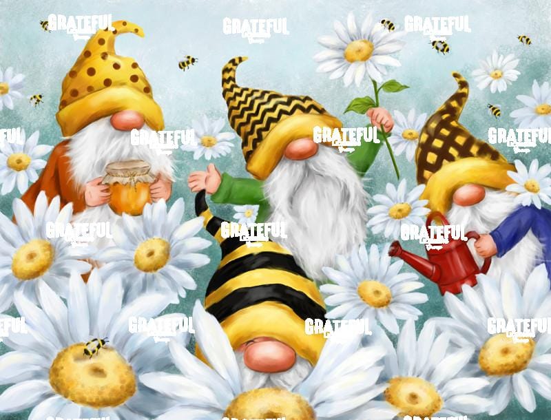 Gnomes in Daisy Field