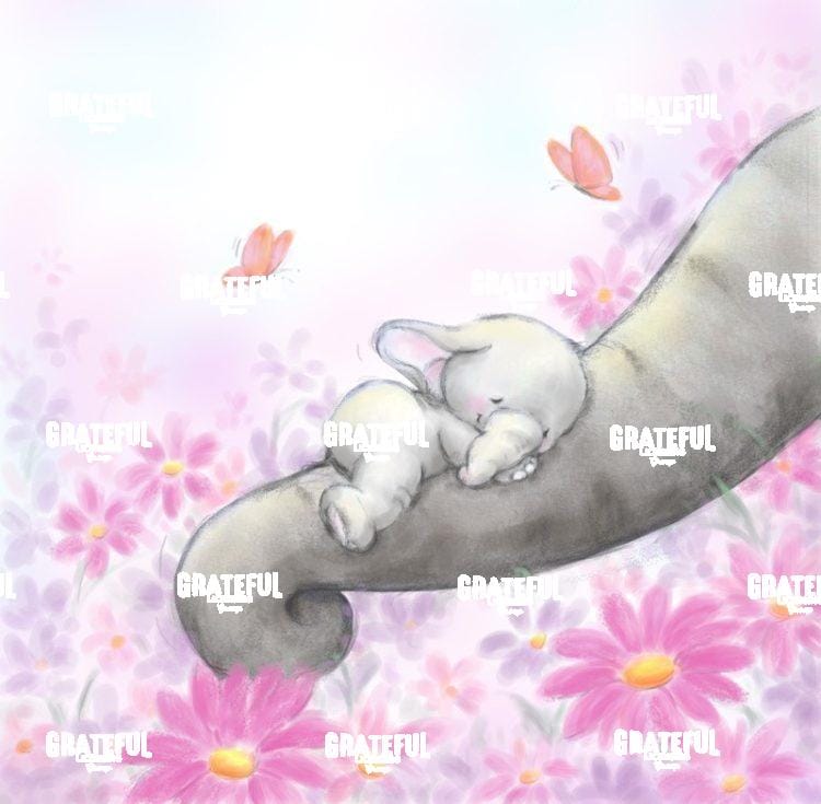 Baby Elephant Sleeping