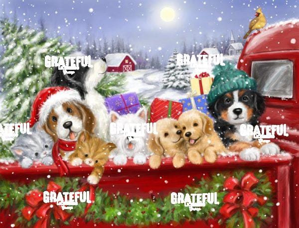 Christmas Puppies on Truck