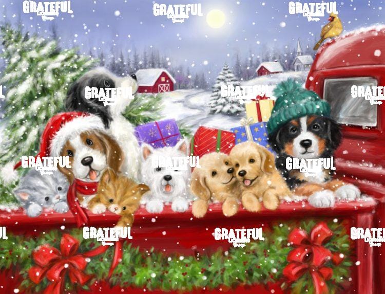 Christmas Puppies on Truck