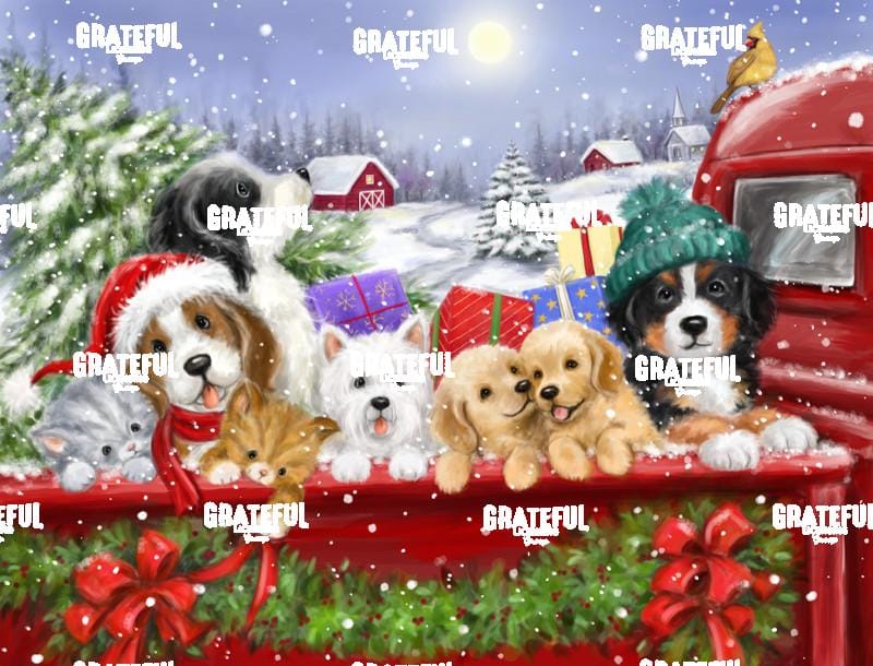 Christmas Puppies on Truck