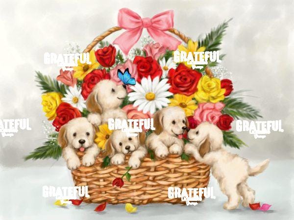Dogs in Flower basket