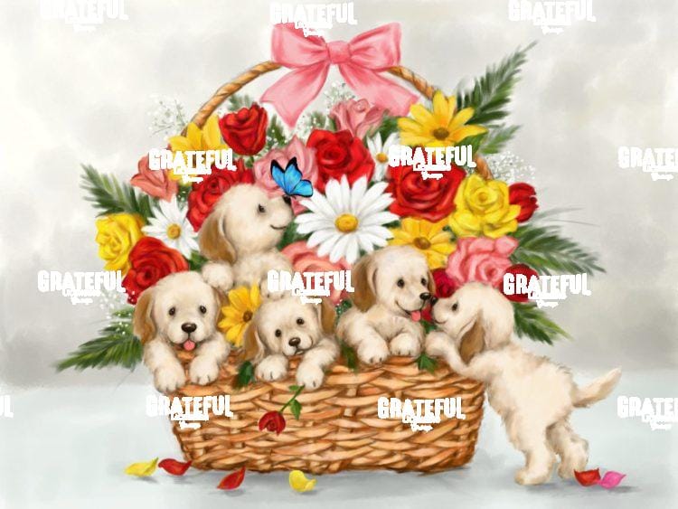 Dogs in Flower basket