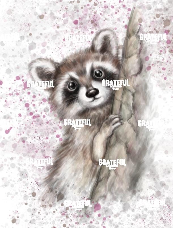 Raccoon