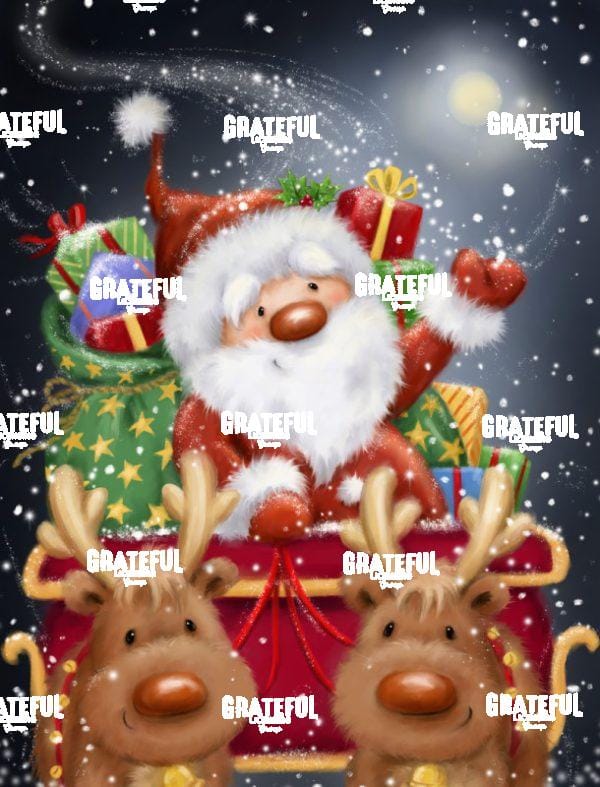 Santa Riding Sled
