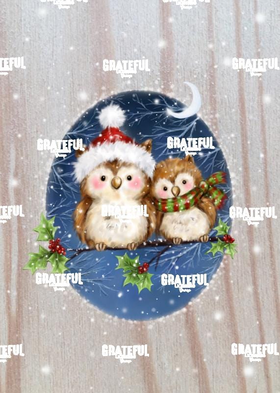 Two Owls