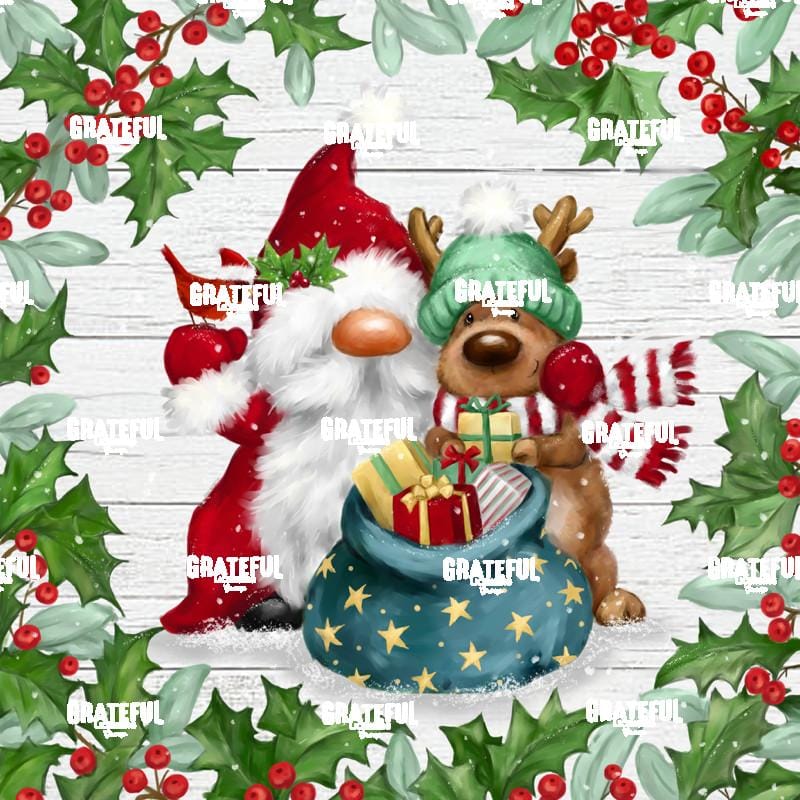Gnome and Reindeer