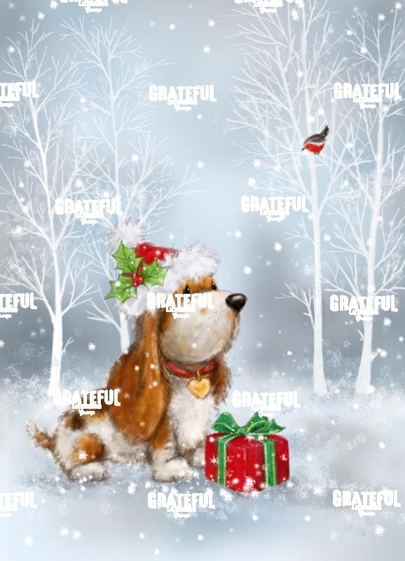 MAKIKO244981 dog and robin with present.jpg