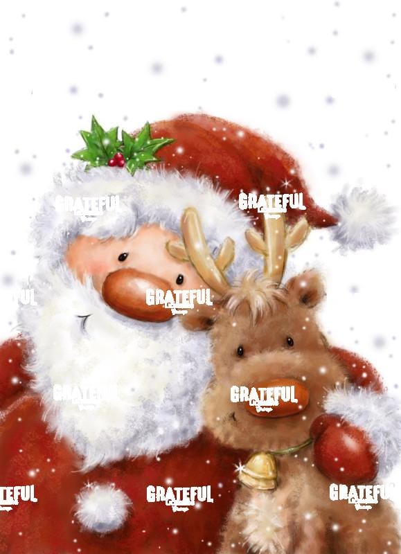Santa & Reindeer