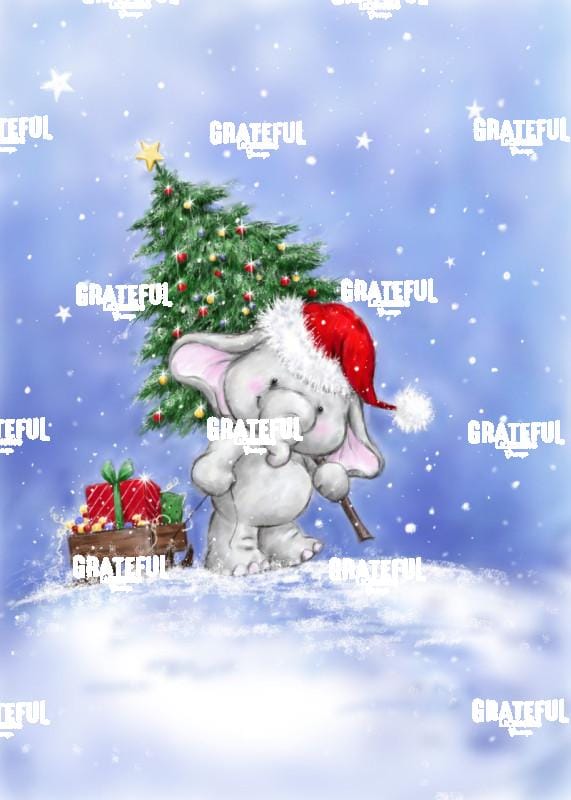 Elephant 1