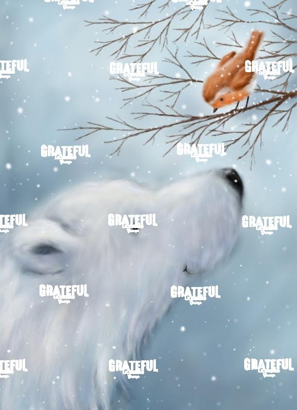 Polar Bear & Robin