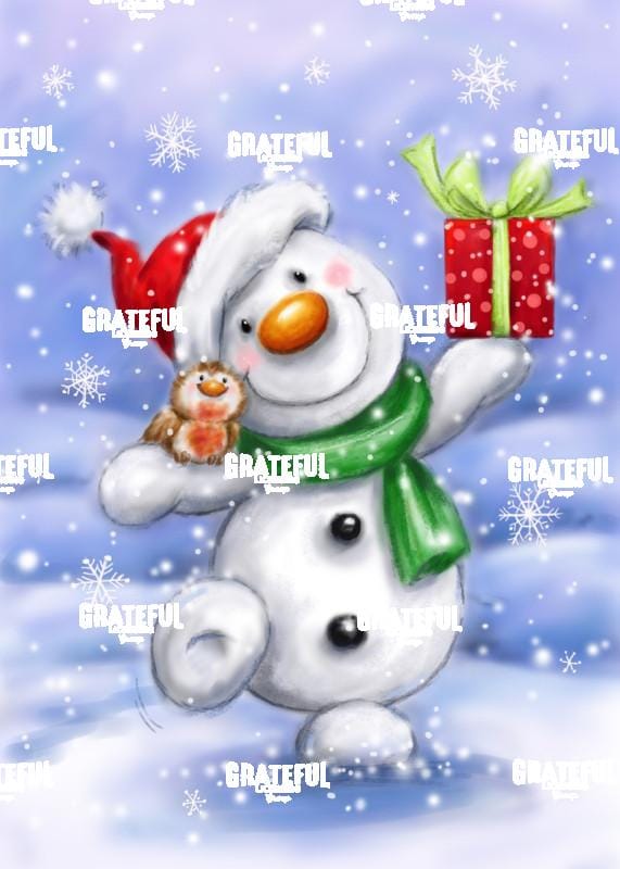 Snowman & Robin