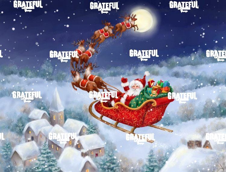 Santa in Sleigh in Night Sky