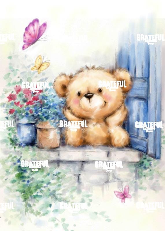 Bear at Window
