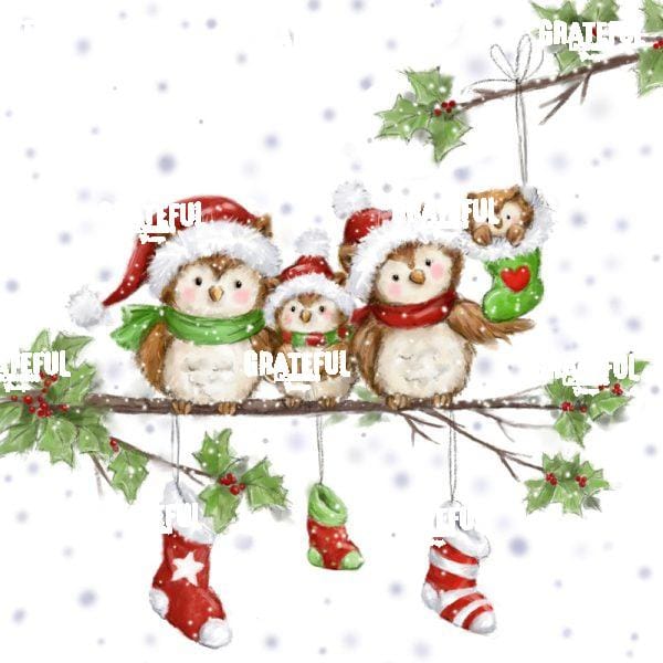 Owl's Family