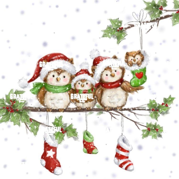 Owl's Family