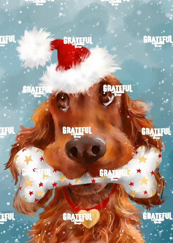 Christmas Irish Setter