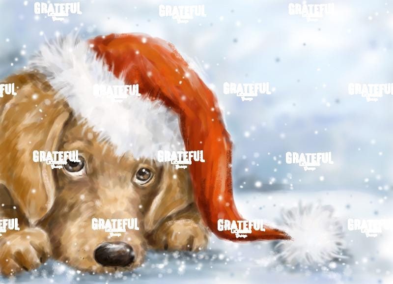 Dog with Santa's Hat