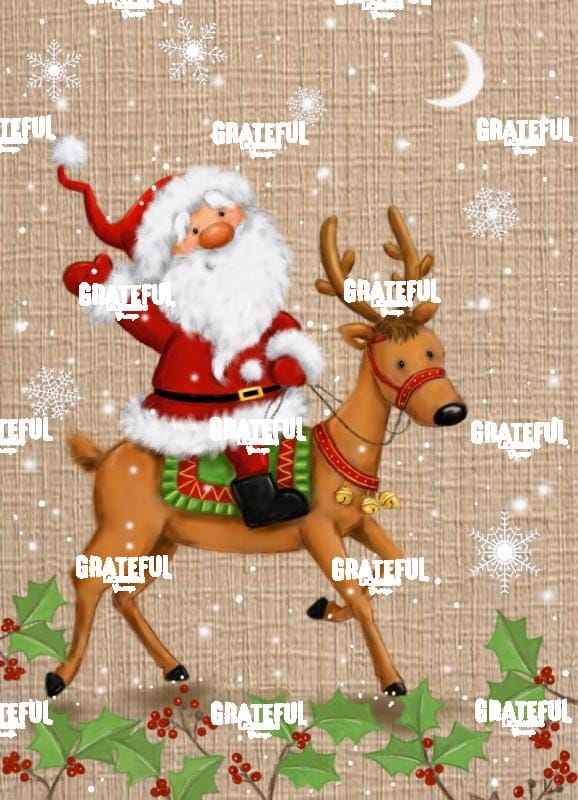Santa on Reindeer