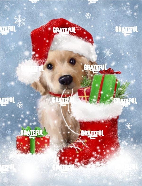 Puppy with Santa's Hat