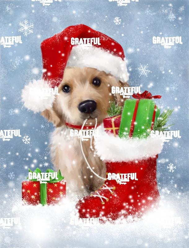 Puppy with Santa's Hat