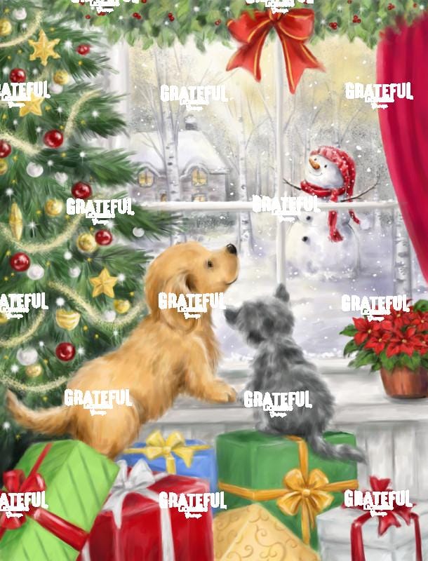 Dog and Cat at Window