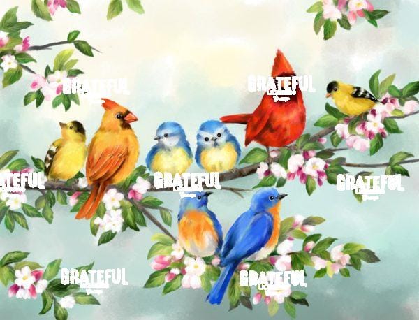 Songbird Friends