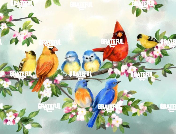 Songbird Friends
