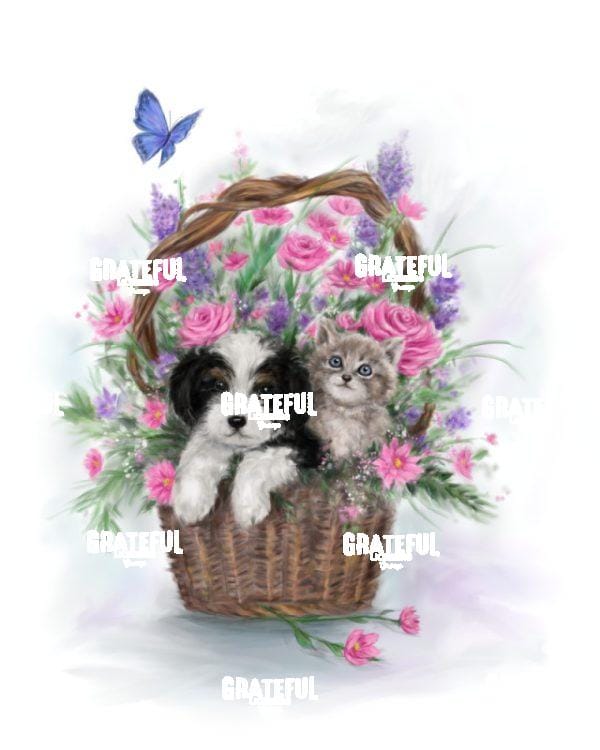 Dog and Cat in Flower Basket