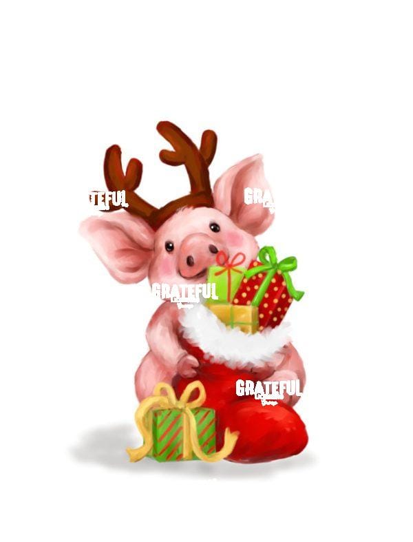 Stocking Pig