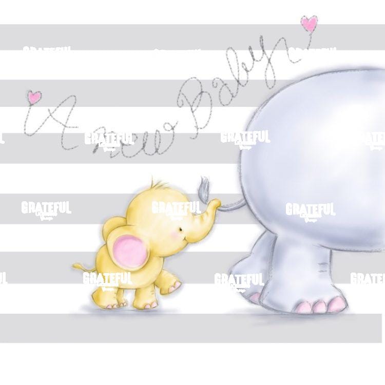 Baby Elephant