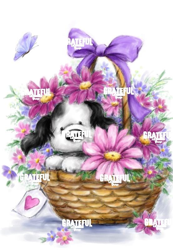 Gray Dog in Basket