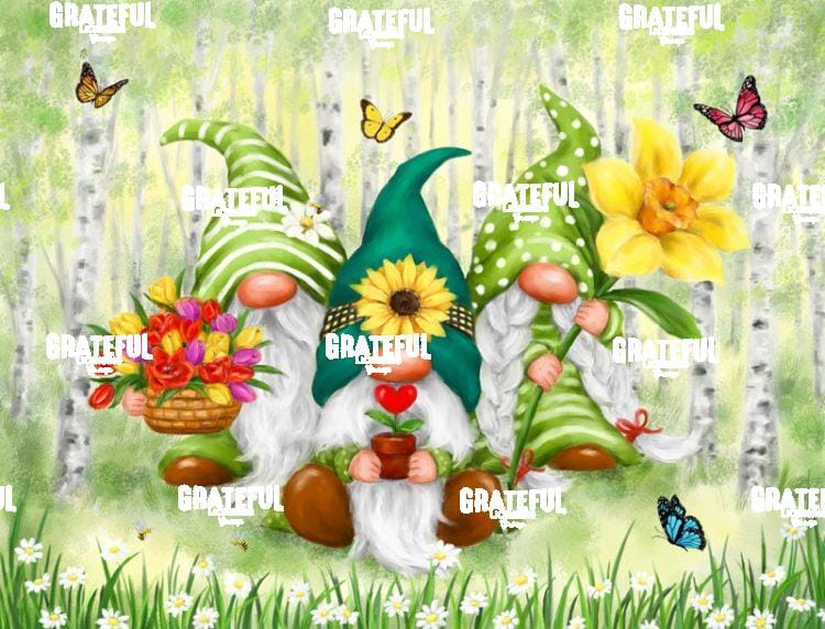 Spring Gnomes