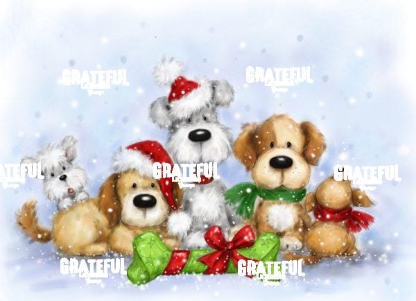 Dogs