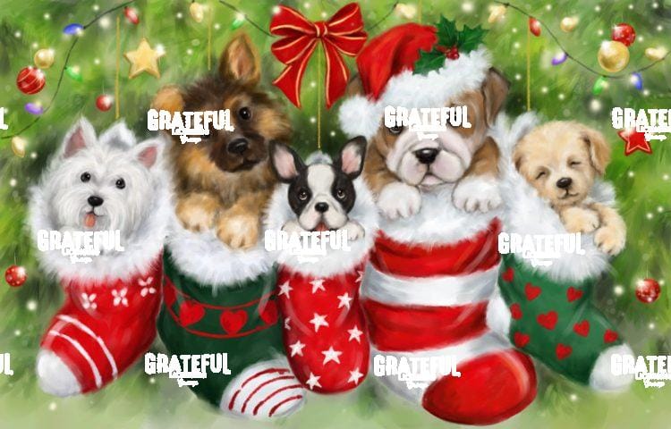 Dogs in Stockings