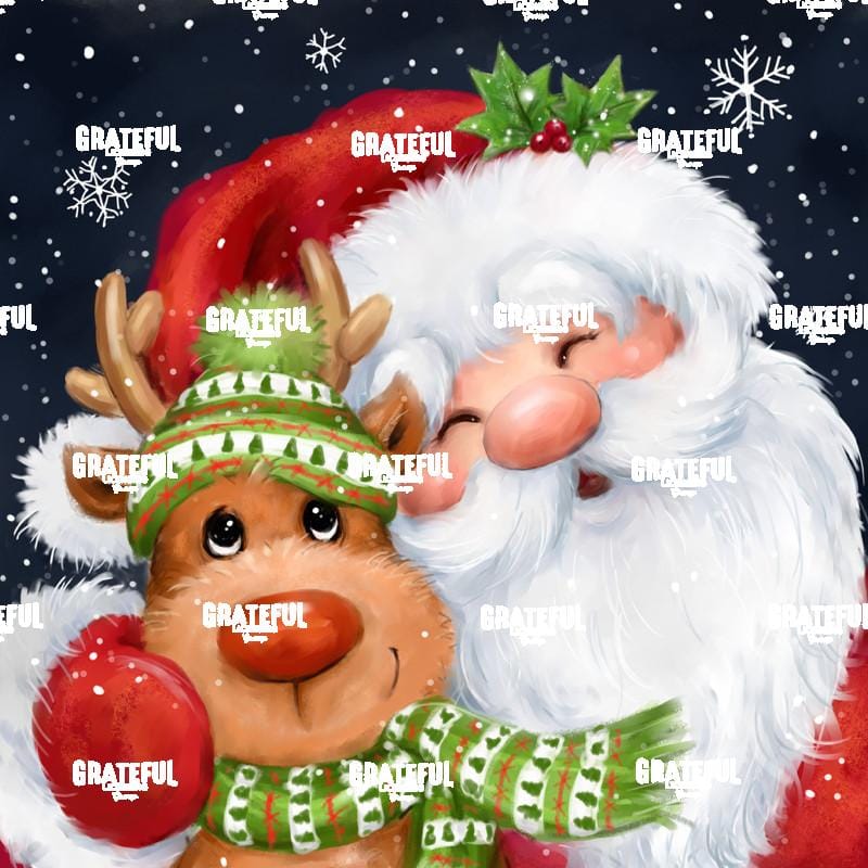Santa & Reindeer