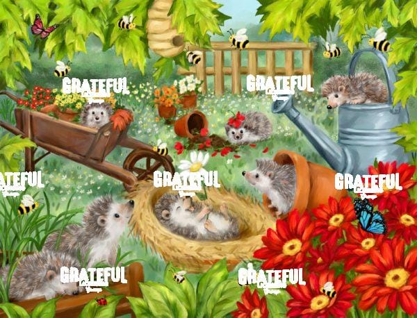 Hedgehogs Playing in Garden