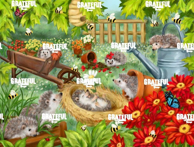 Hedgehogs Playing in Garden