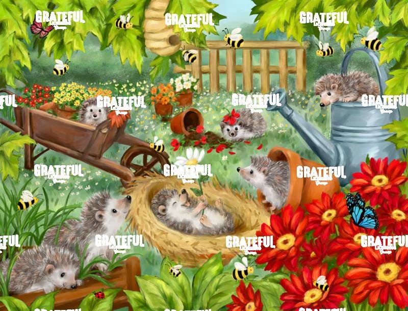 Hedgehogs Playing in Garden