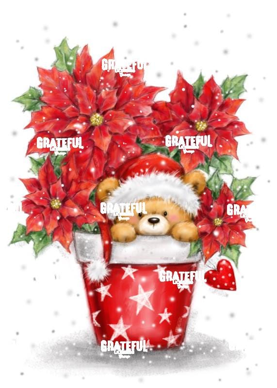 Bear & Poinsettia