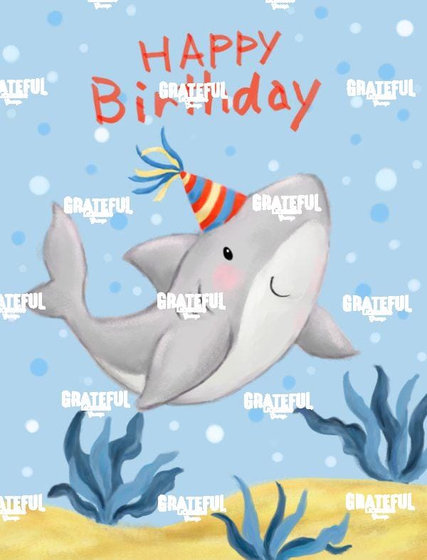 Shark Birthday