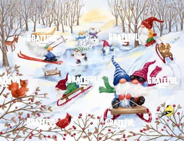 Gnomes Winter Sport