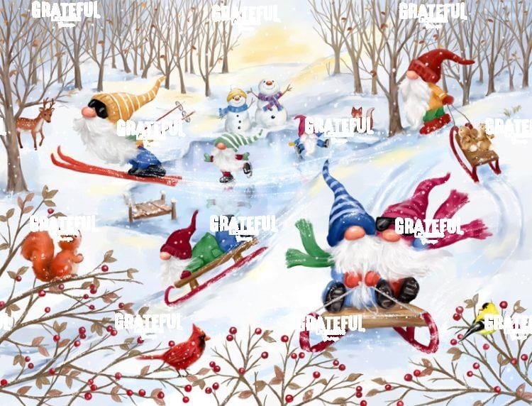 Gnomes Winter Sport